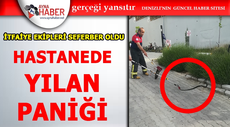 Hastanede Yılan Paniği