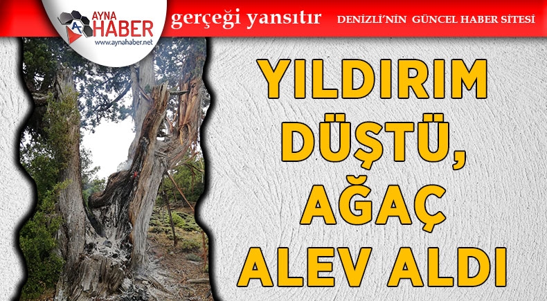 YILDIRIM DÜŞTÜ, AĞAÇ ALEV ALDI