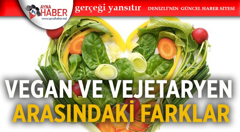VEGAN VE VEJETARYEN ARASINDAKİ FARKLAR